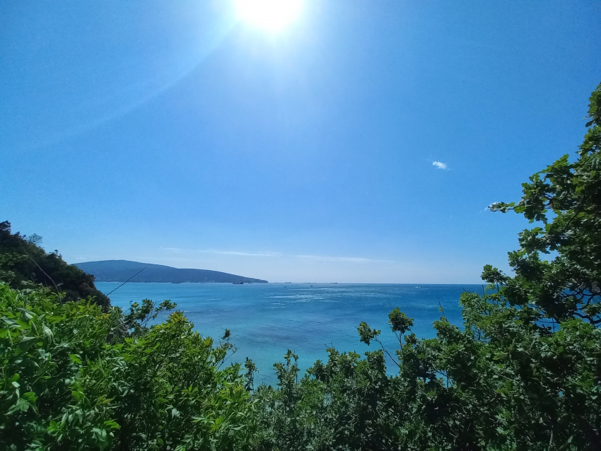 Погода в Новороссийске: ясное солнышко, но ветрено 