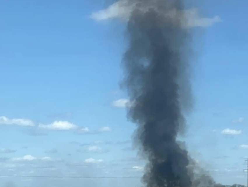 Огонь пошел: в Кабардинке зафиксирован лесной пожар 