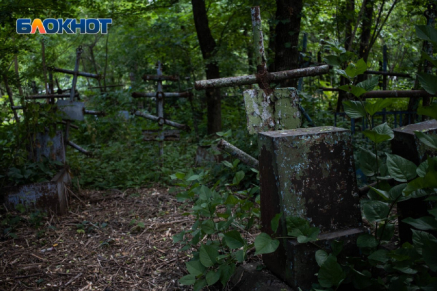Ничего святого: с кладбища в Новороссийске украли ещё две оградки