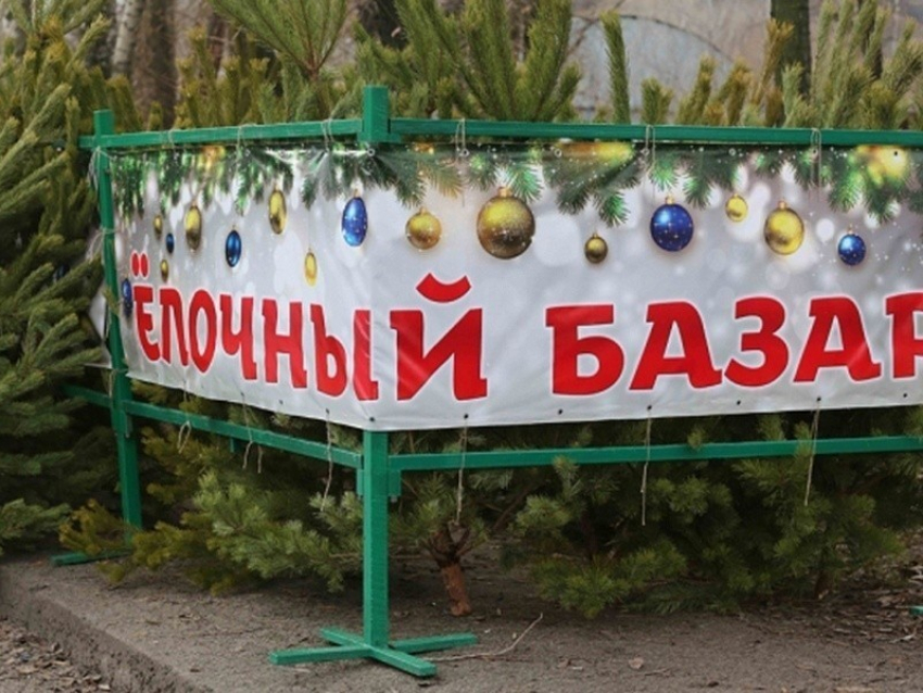 В Новороссийске начали создавать новогоднее настроение
