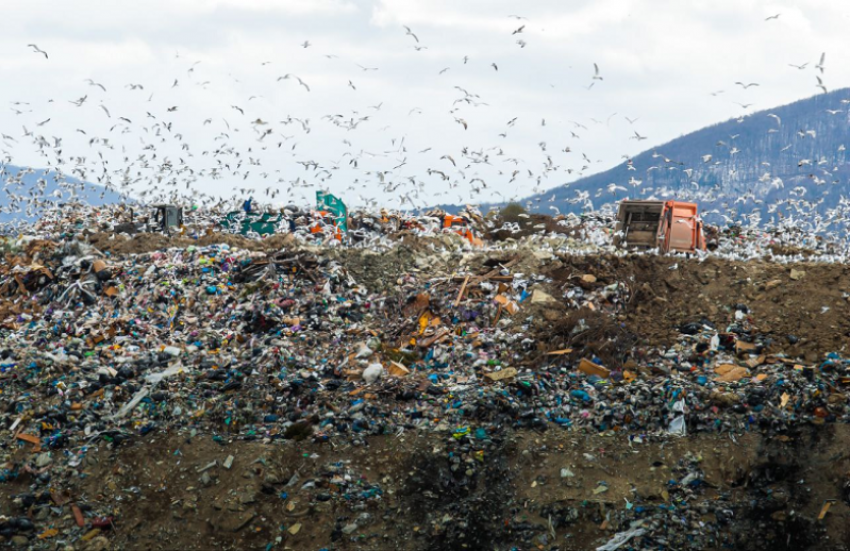 В Новороссийске мусор начали складировать рядом с полигоном 