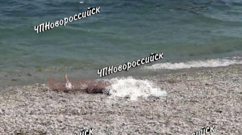 Труп мужчины был обнаружен на пляже в Новороссийске  