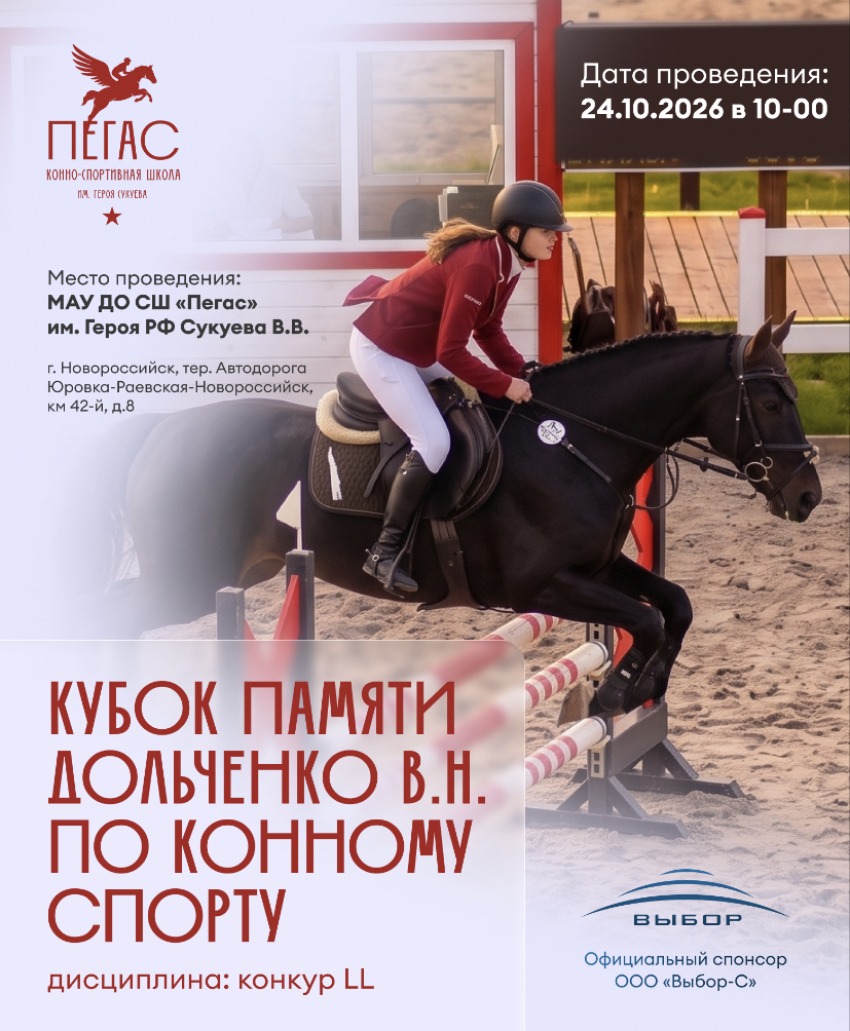 Красота, грация и благородство конного спорта: приглашаем новороссийцев на Кубок памяти В.Н. Дольченко