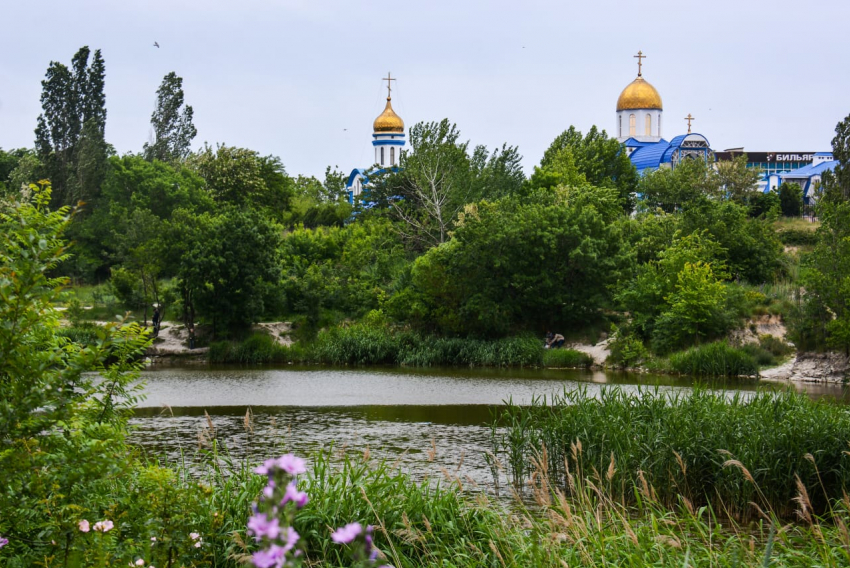 Прогулочный, семейный парк: в Южные пруды Новороссийска вдохнут новую жизнь 