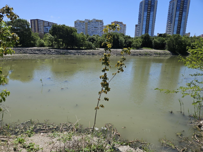 Экологический ущерб при работах на «Южных прудах» Новороссийска оценен в 8 миллионов рублей