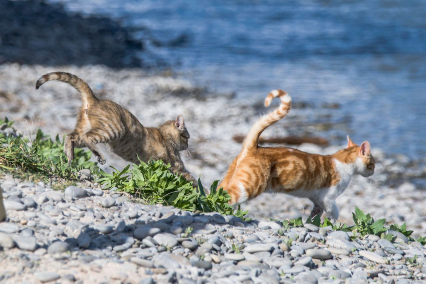 Погода в Новороссийске: малооблачно с небольшим ветерком