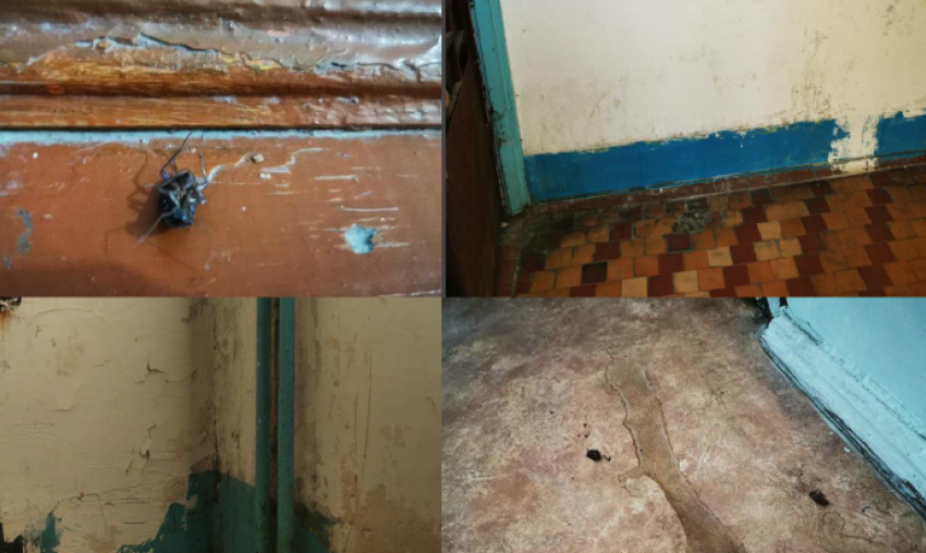 Тараканы, дезинфекция и грязь: УК «ЖКС» отреагировала на жалобы новороссийцев 