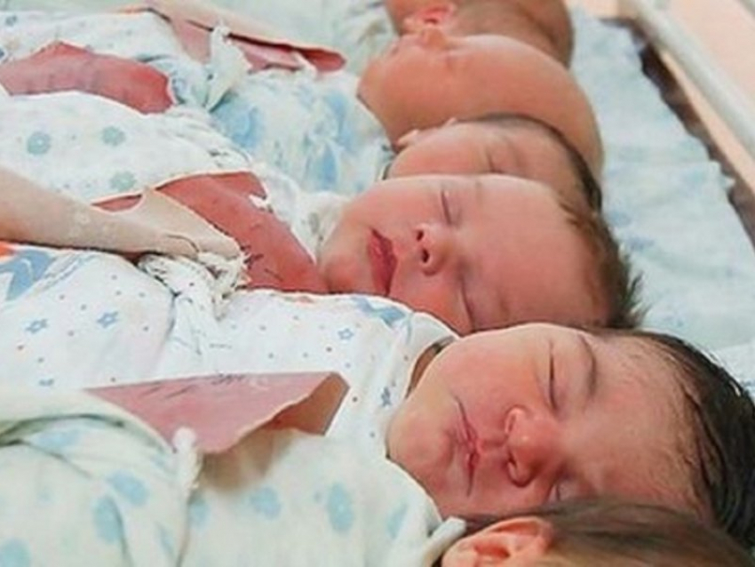 В Новороссийске случилась рекордная по рождаемости неделя