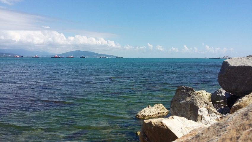 Ветер в Новороссийске сменит направление во вторник