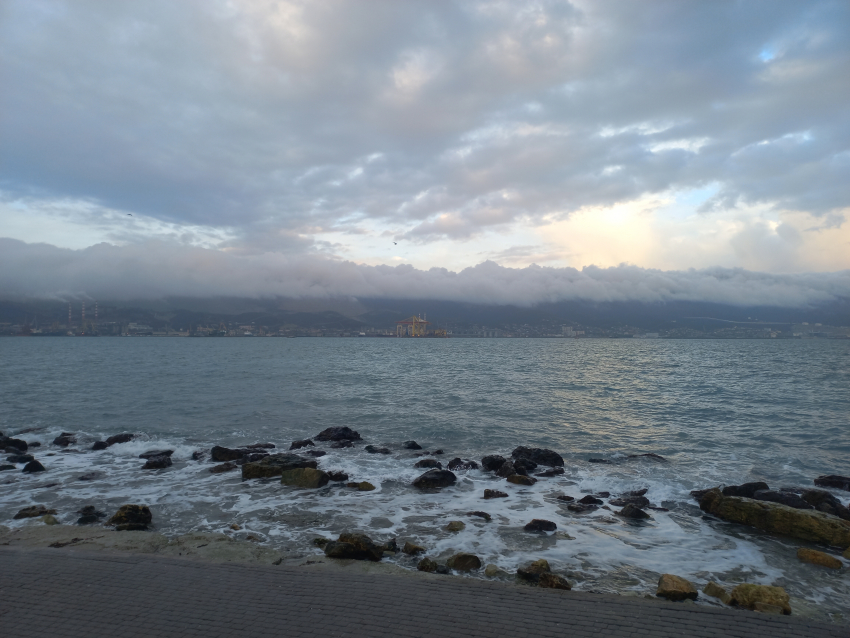 На Кубани ожидаются заморозки: дойдет ли холод до Новороссийска 