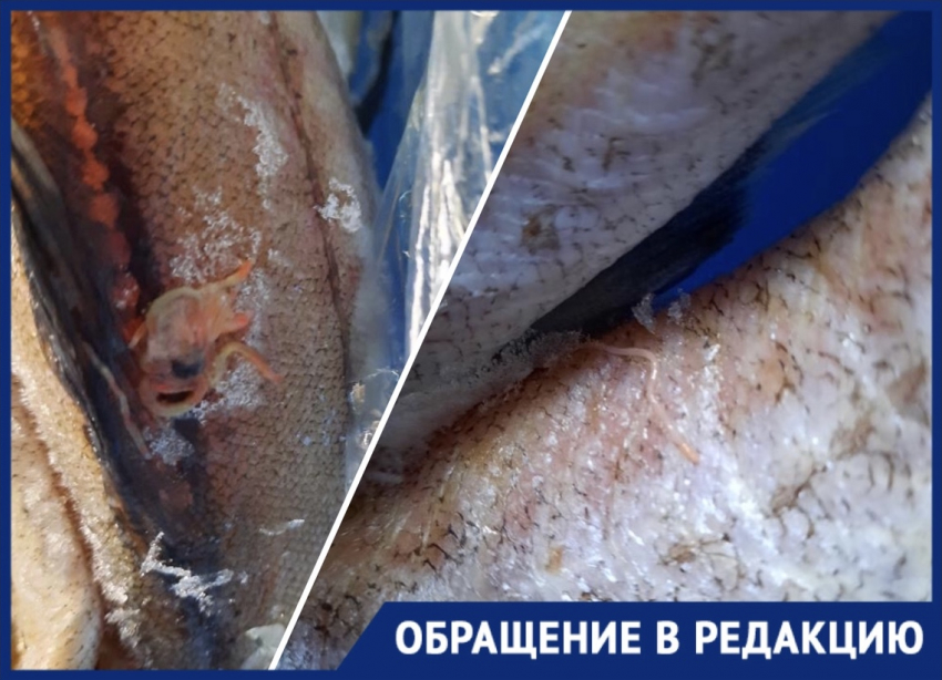 "Это ужасно!": рыба с «сюрпризом» попалась жительнице Новороссийска  