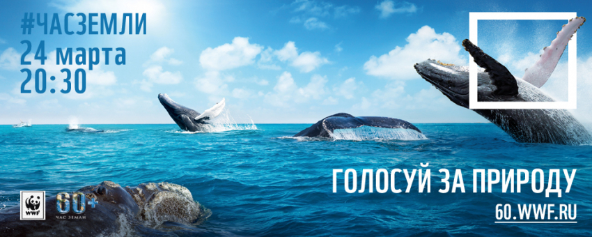 Новороссийцы могут присоединится к всемирной акции WWF