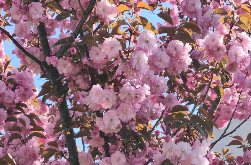 Гороскоп от «Блокнота»: Рыбам завершить начатое, а Скорпионам заняться творчеством