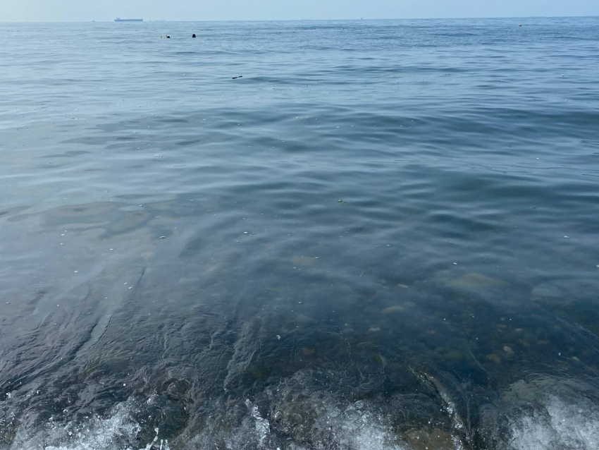 "Купаться сегодня не рискнули": отдыхающие поделились впечатлениями о воде в Черном море