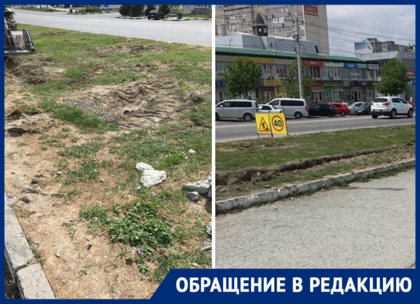 Выкопали деревья, роют траншеи: жители Южного района Новороссийска переживают за природу 