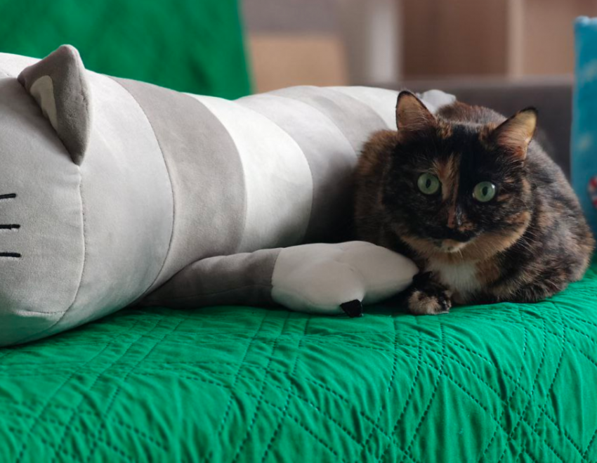 Гороскоп холодной пятницы февраля: что ждет знаки зодиака?