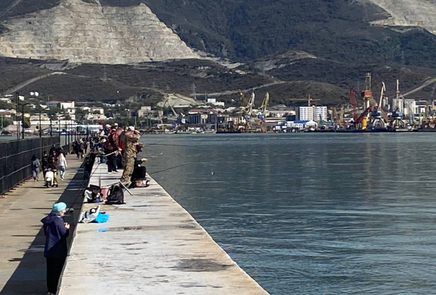 Транзит идет на спад: грузооборот рухнул в порту Новороссийска на 15%