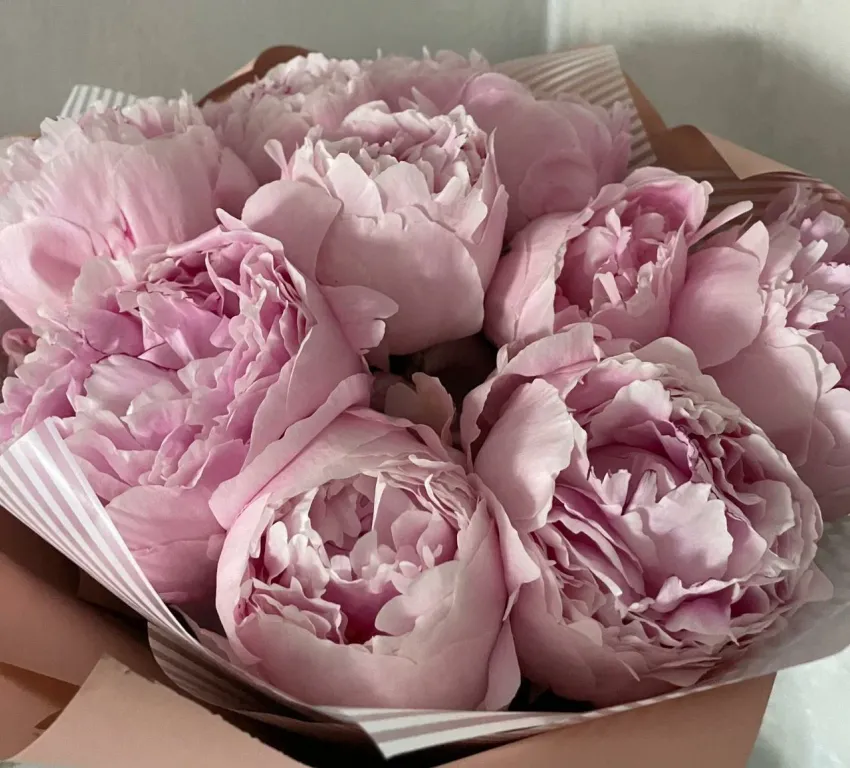 Гороскоп от «Блокнота»: ракам необходим отдых, а весам перестать тратиться