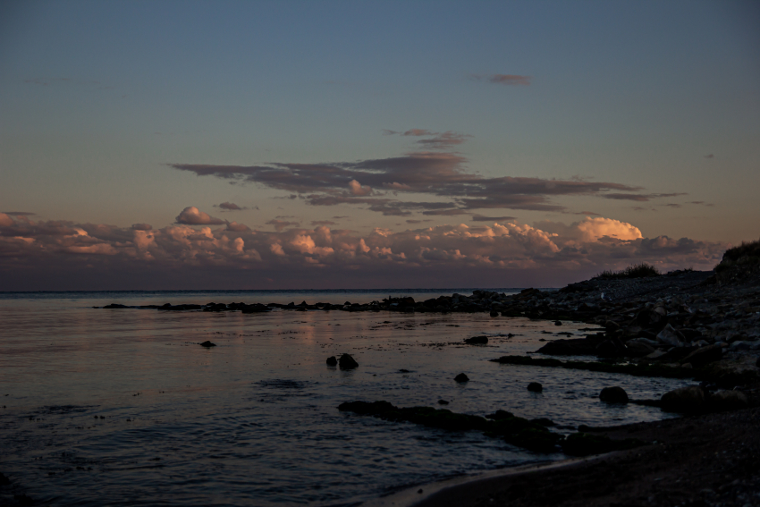 Погода в Новороссийске: собачьего холода, благо, не будет