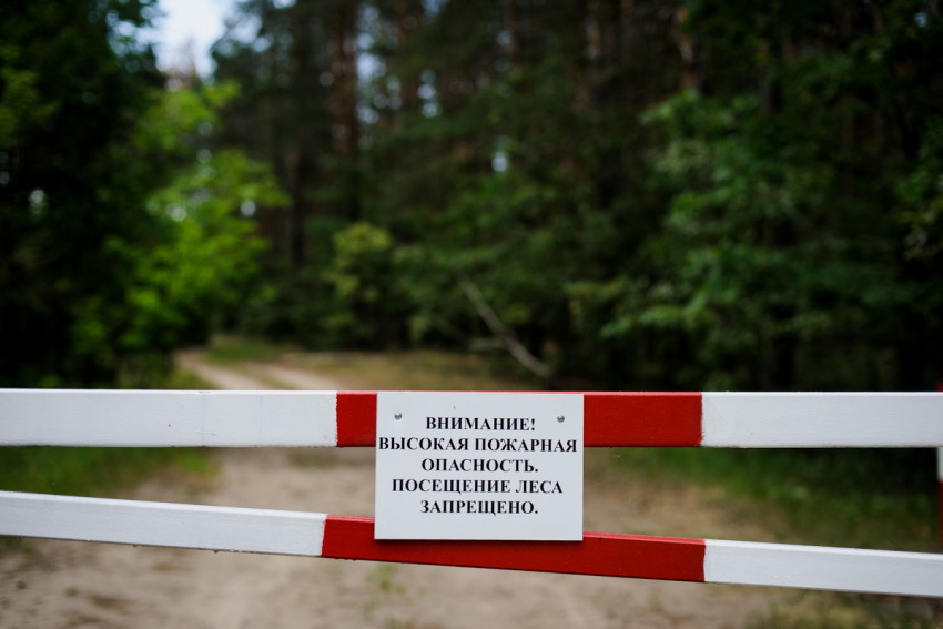 Походы и пикники в лесу временно запрещены для новороссийцев