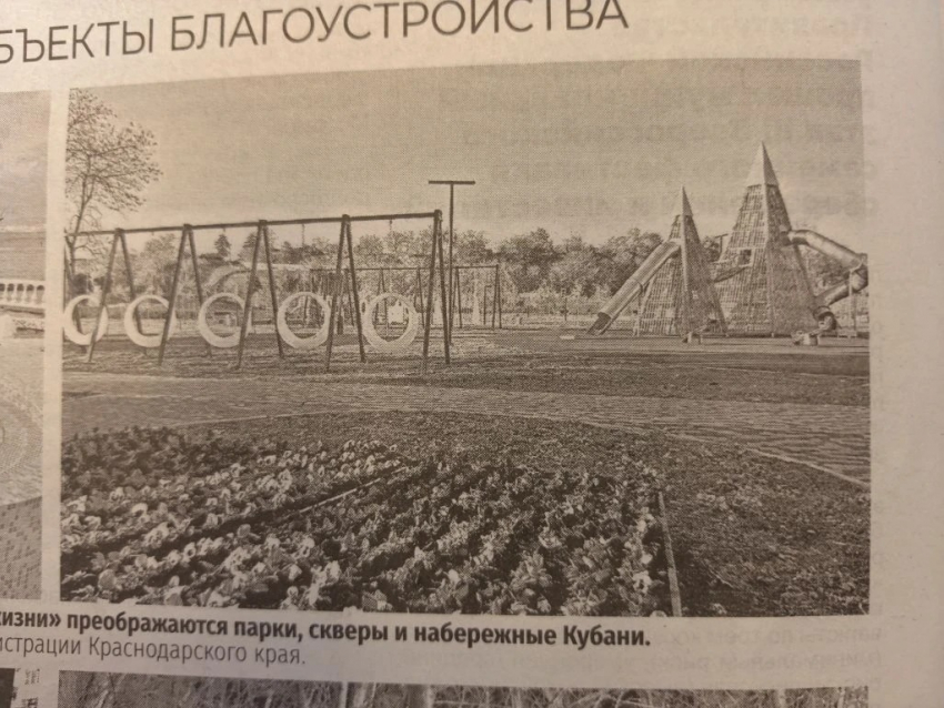Никакого праздника: новороссийцы пожаловались на мусор и запущенные территории