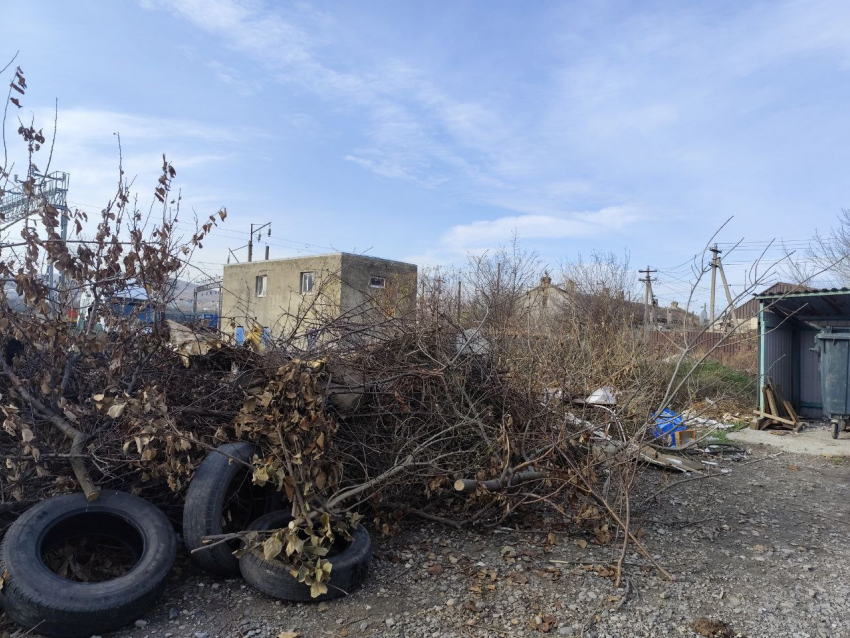 «Не вывозят месяцами!»: новороссийцы жалуются на стихийные свалки