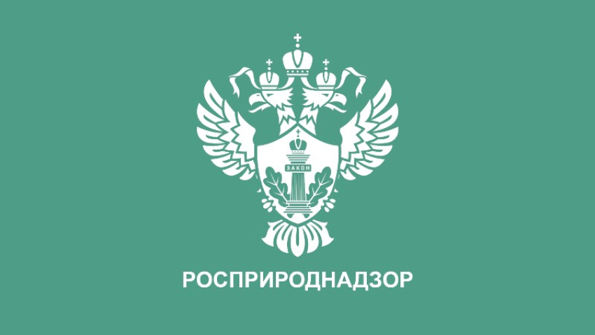 Росприроднадзор зафиксировал сброс сточных вод в Чёрное море в Новороссийске