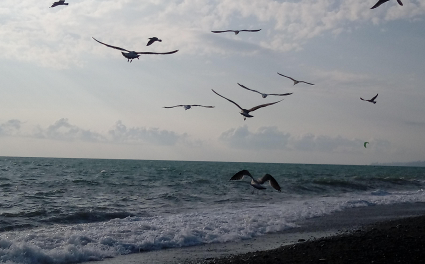Погода в Новороссийске: воскресенье может разрушить планы 