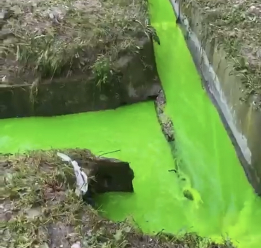 "Блокнот» выяснил происхождение зеленой воды в ливневках Новороссийска