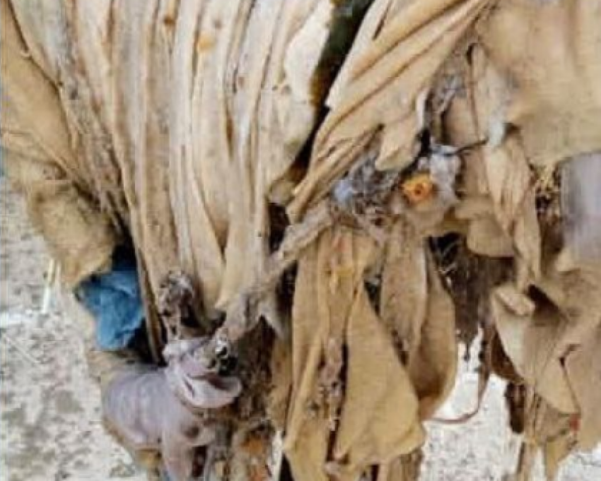 Не чудо в перьях, трупы животных, одеяла и подгузники: что еще новороссийцы смывают в унитаз