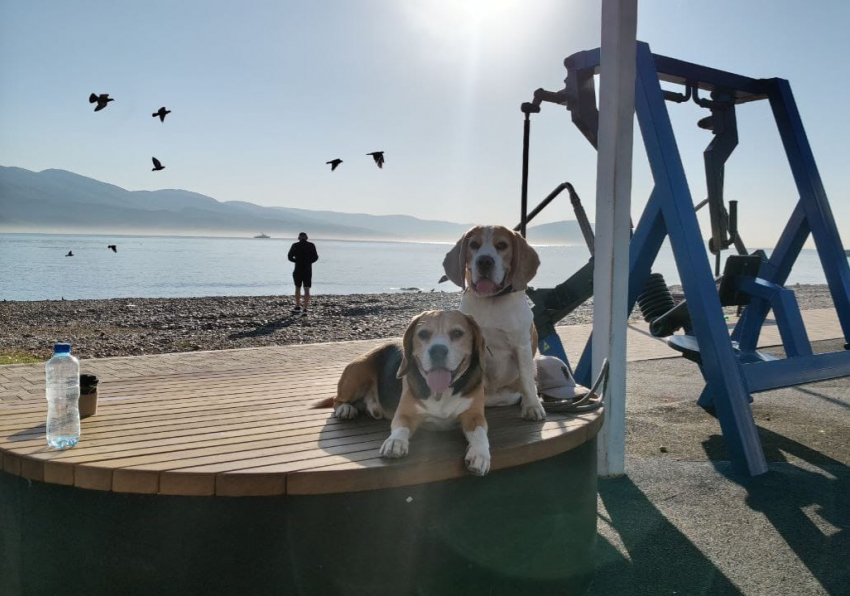 Гороскоп от «Блокнота": Львам довериться интуиции, а Близнецам пора заняться финансами