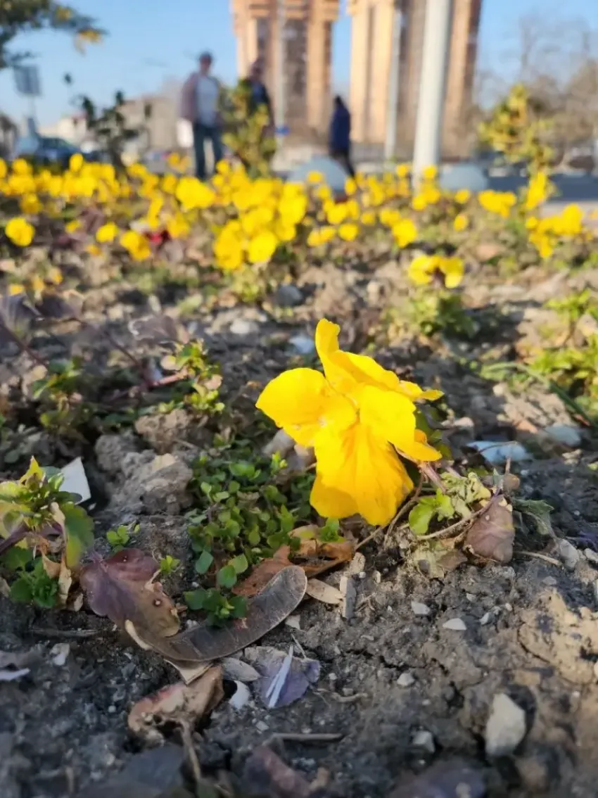 Ракам день подарит гармонию, а Весам пригодятся аналитические возможности