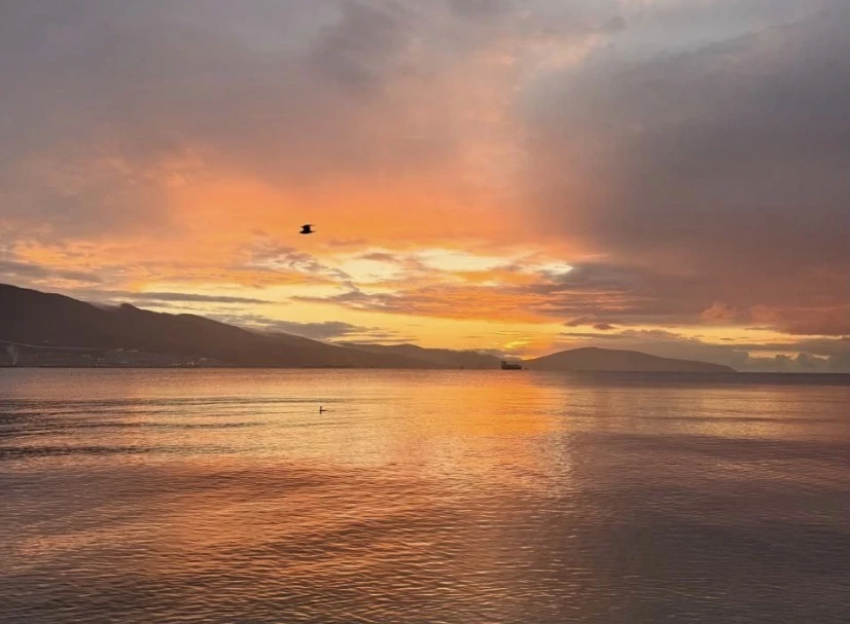 Похолодало: о погоде в Новороссийске