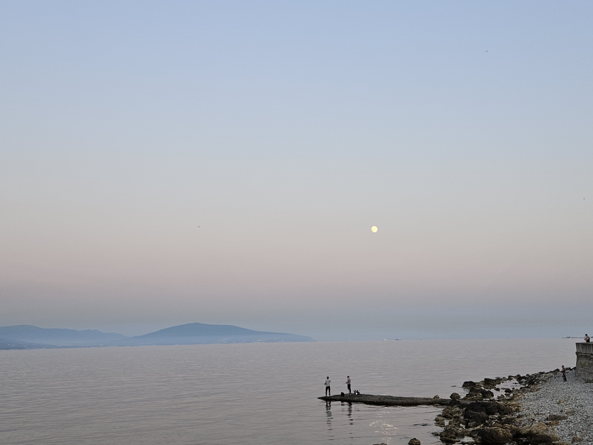 Гороскоп от «Блокнота»: рыбы могут ждать романтики, а раки решить финансовые вопросы 