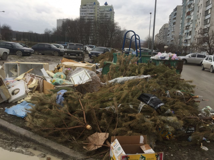 Прошлогодние елки никто не хочет вывозить в спальном районе Новороссийска
