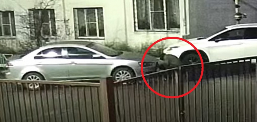 Неизвестный «свинтил» фары с машины жительницы Новороссийска 