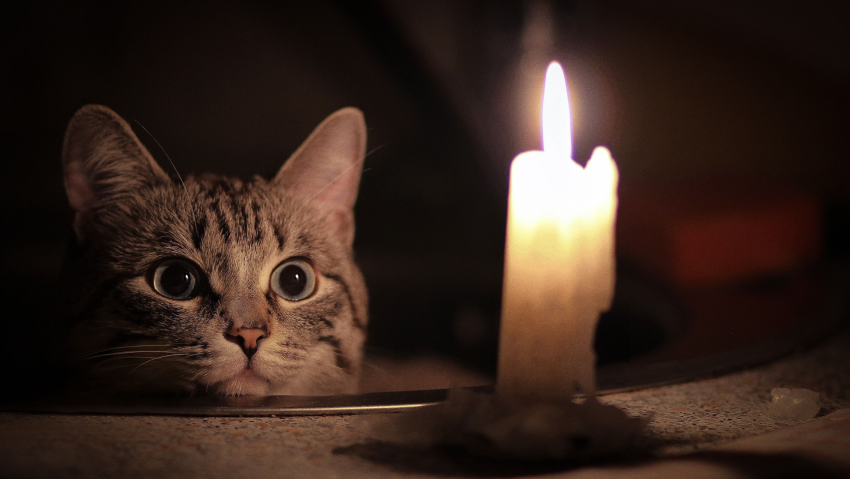 Заряжайте телефоны: кому выключат свет в Новороссийске 14 августа 