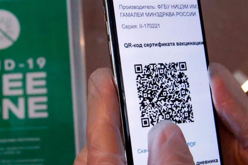 Как покупка поддельных QR-кодов может обернуться для новороссийцев штрафами и даже тюрьмой