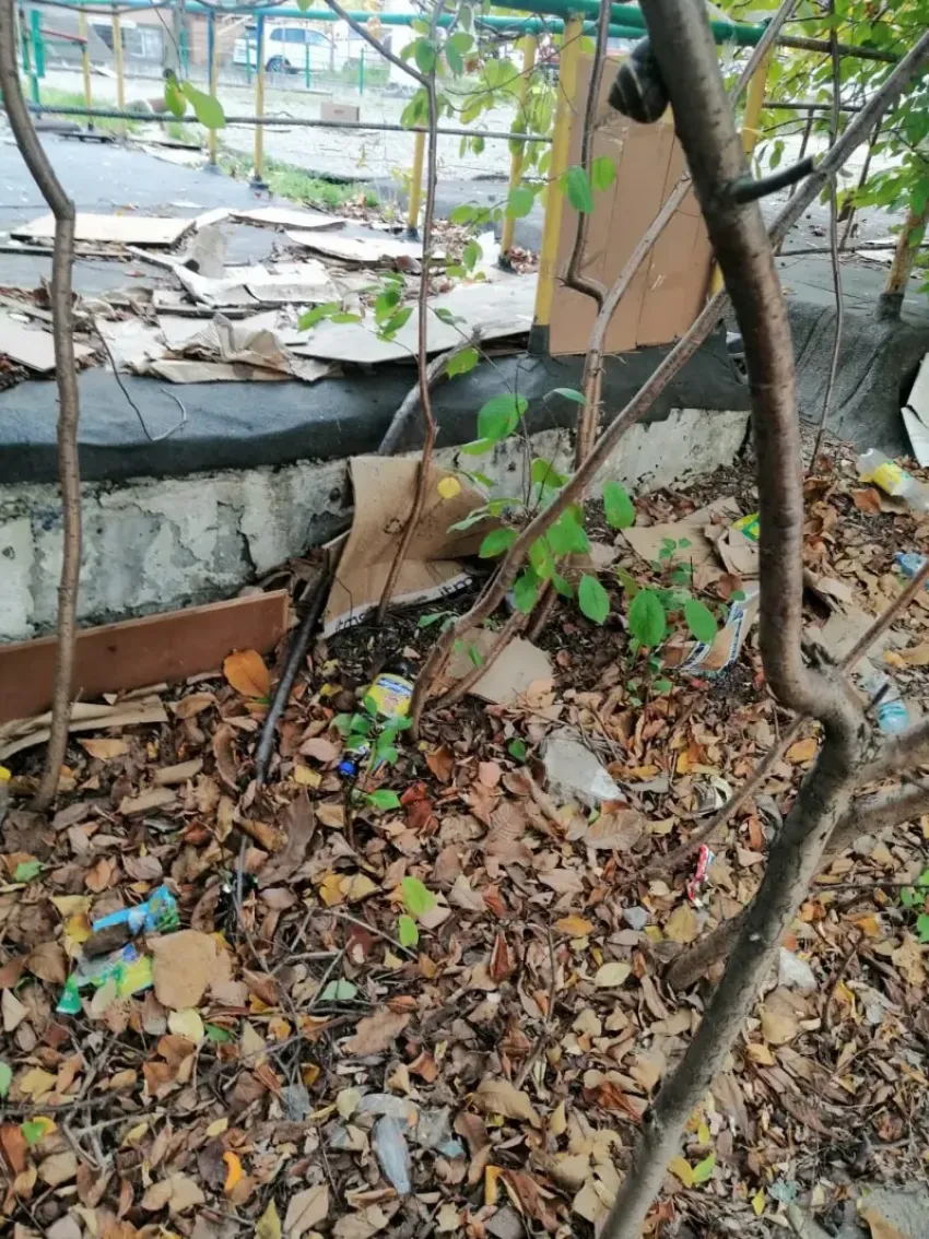 Власти Новороссийска призвали горожан начать «порядок с себя»