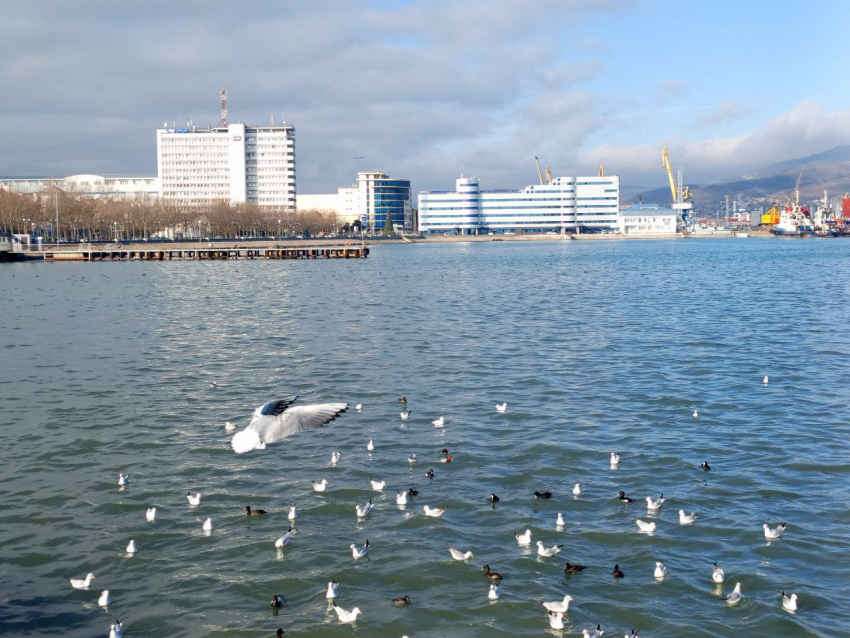 В понедельник в Новороссийске будет громко 