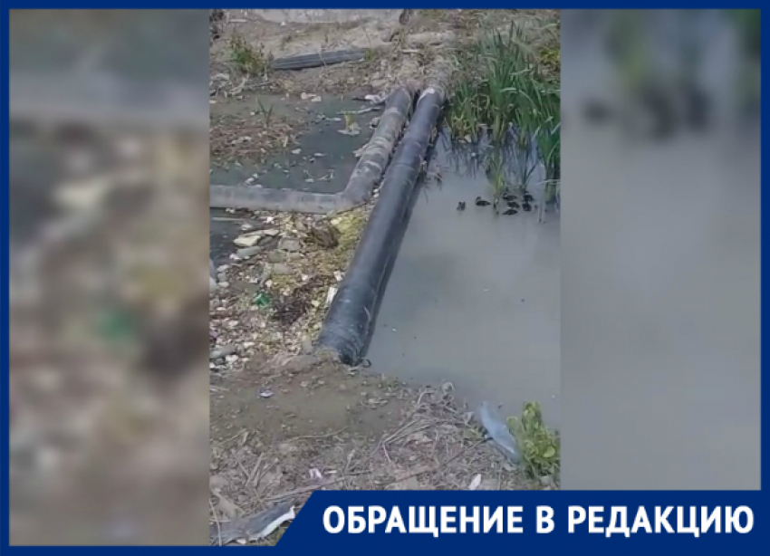 Новороссийцы обеспокоены состоянием реки Цемес