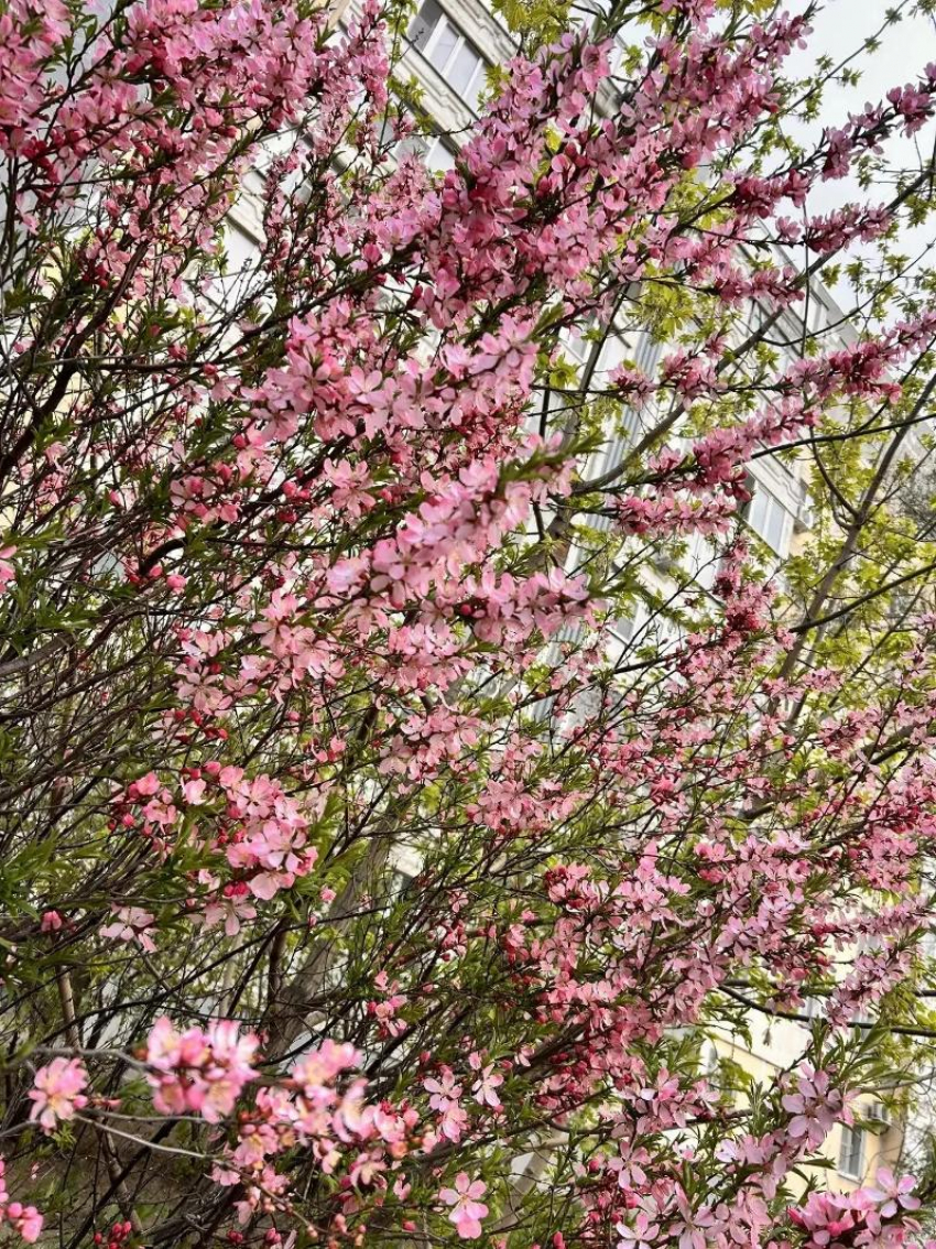 Облака затянули небо Новороссийска