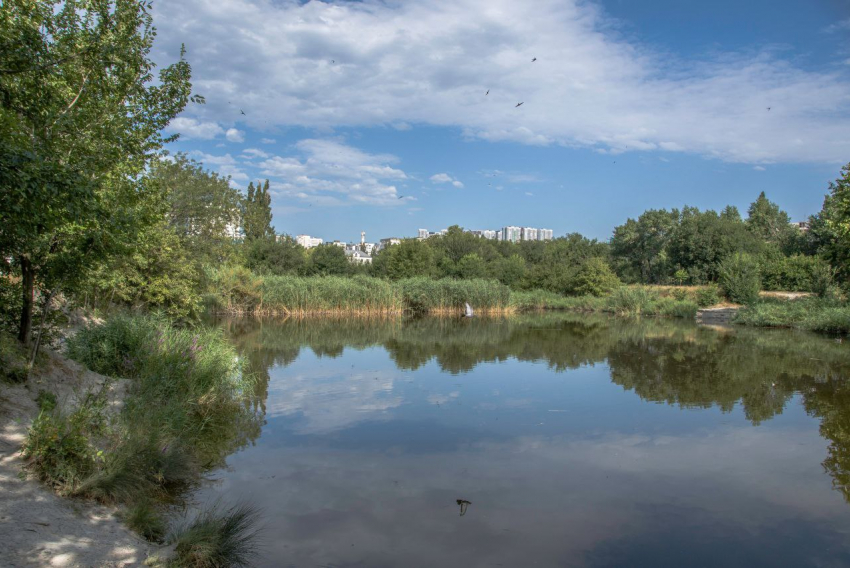 Погода в Новороссийске: пекло