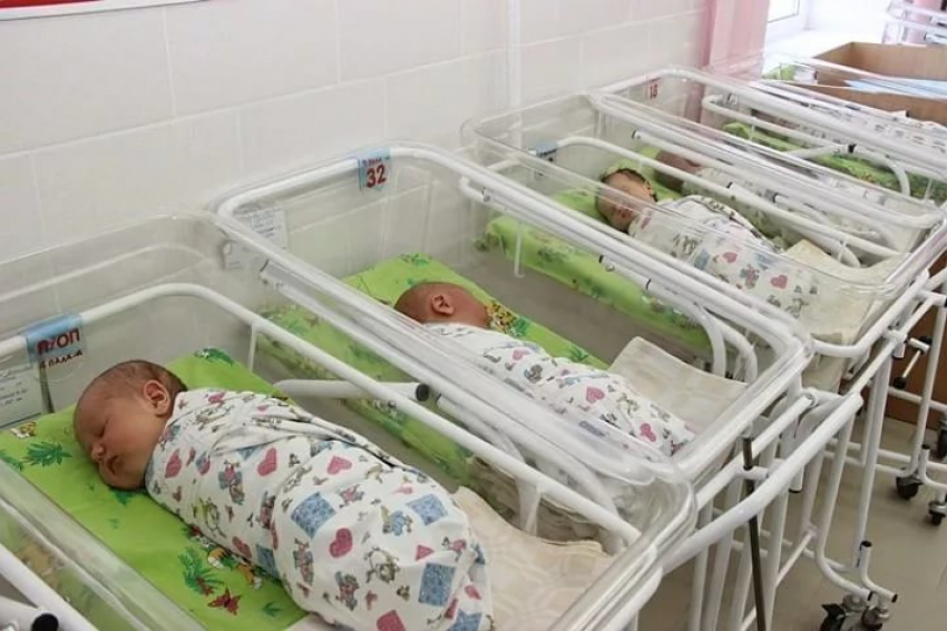 Четверо малышей родились в первый день года в Новороссийске