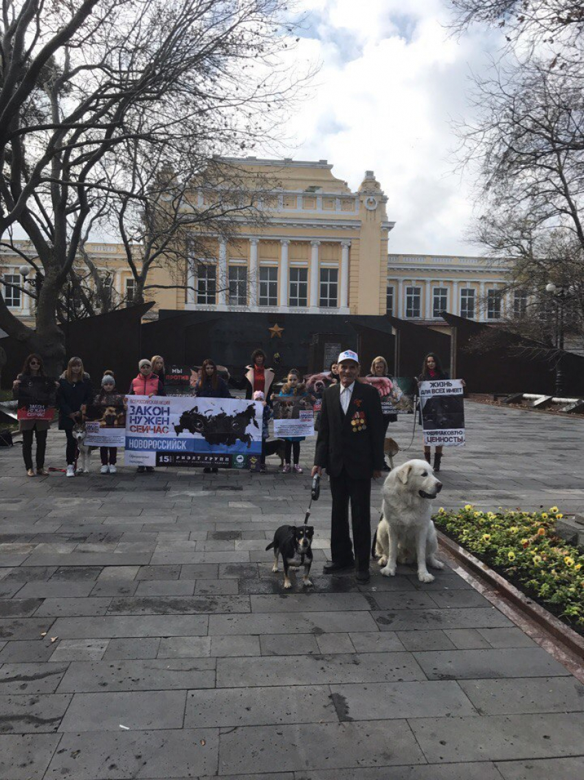 Готова вторая часть видеообращения к президенту в защиту животных, снятая в Новороссийске