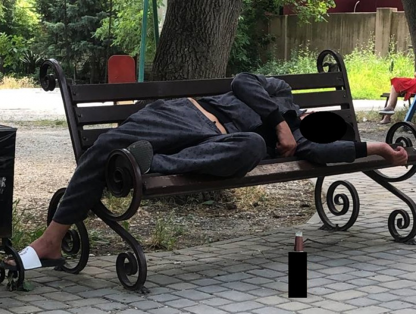 Удивительное «спящее» соседство сразило наповал жительницу Новороссийска 