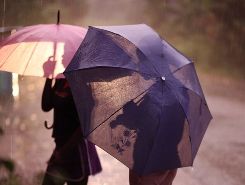 Достаём зонты: сегодня они пригодятся новороссийцам 