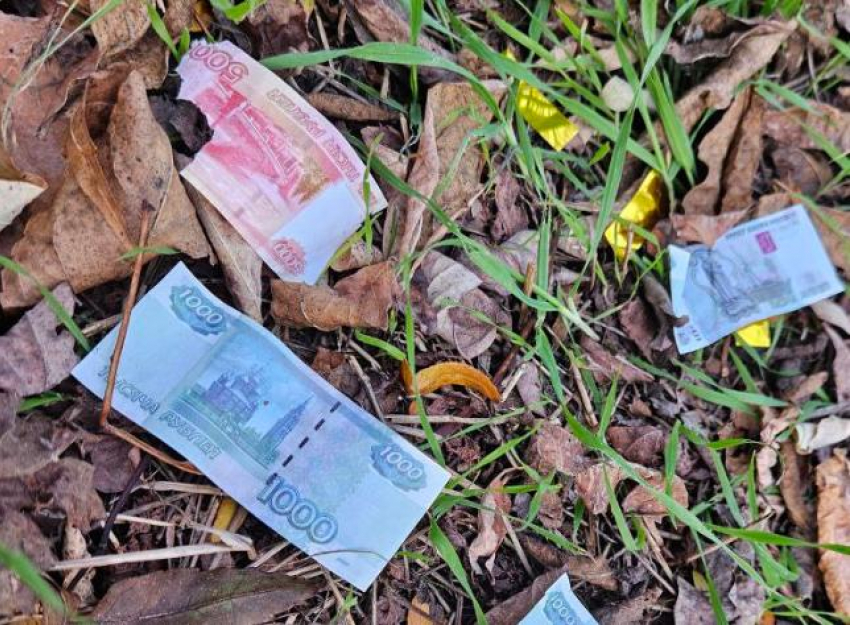 Мальчику оторвало пальцы: новороссийцев просят ничего не подбирать на улице