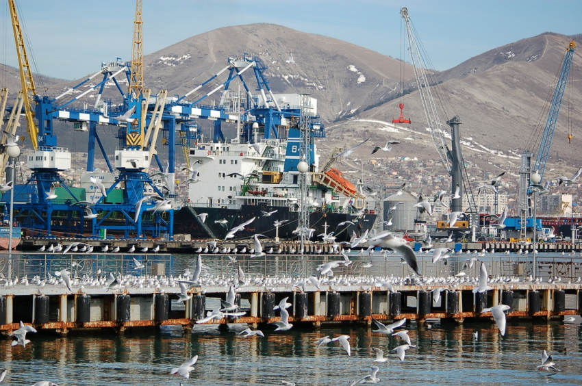 УФАС против НМТП: борьба продолжается