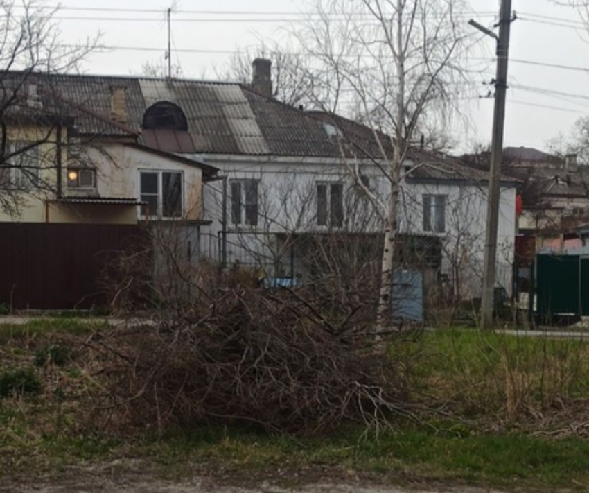 Спилили деревья и сложили прямо на улице: житель Гайдука возмущён беспорядком